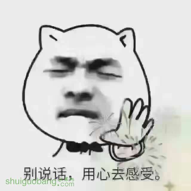 214253sar6l6rssdsssgtx.jpg