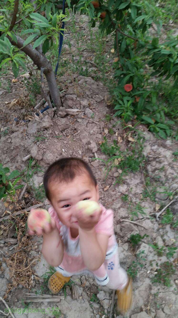 184536us07ts0qwls73cgc.jpg