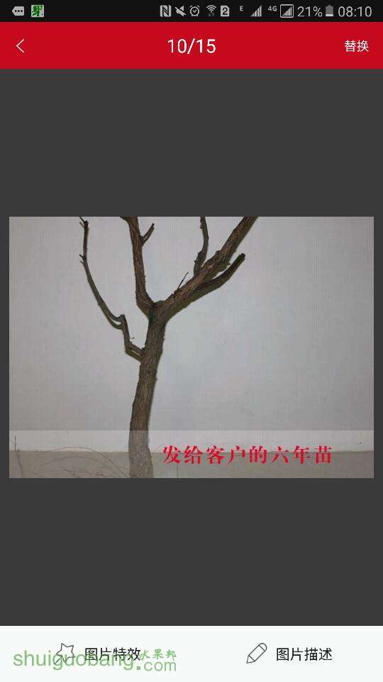 081041liwuddgcegzkuzwp.png