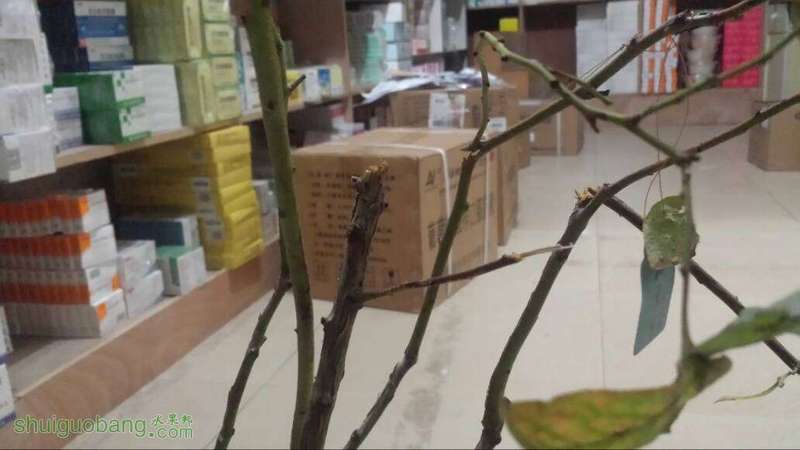 101523rbvovkso2m5q2003.jpg