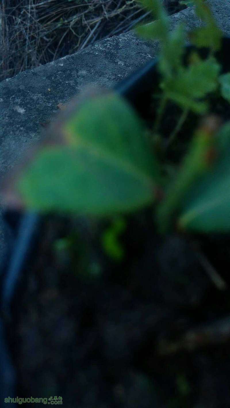 123728nsffsfldp8a8plpa.jpg