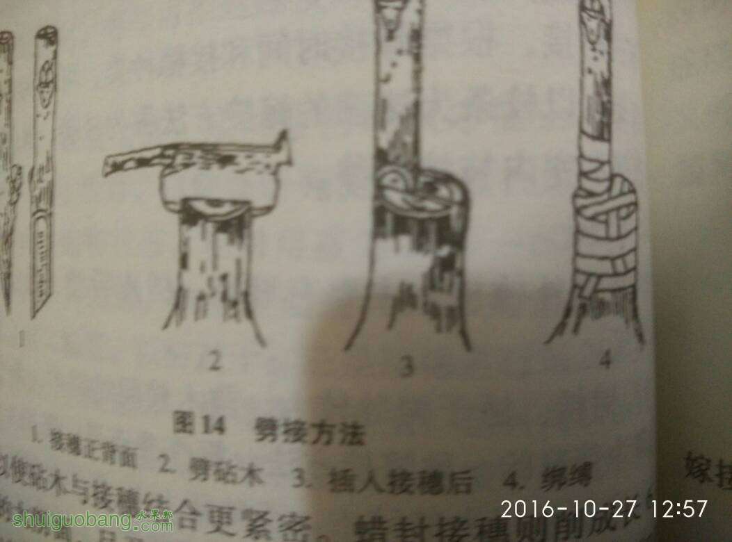 135033eknllpjo83cfpfz8.jpg