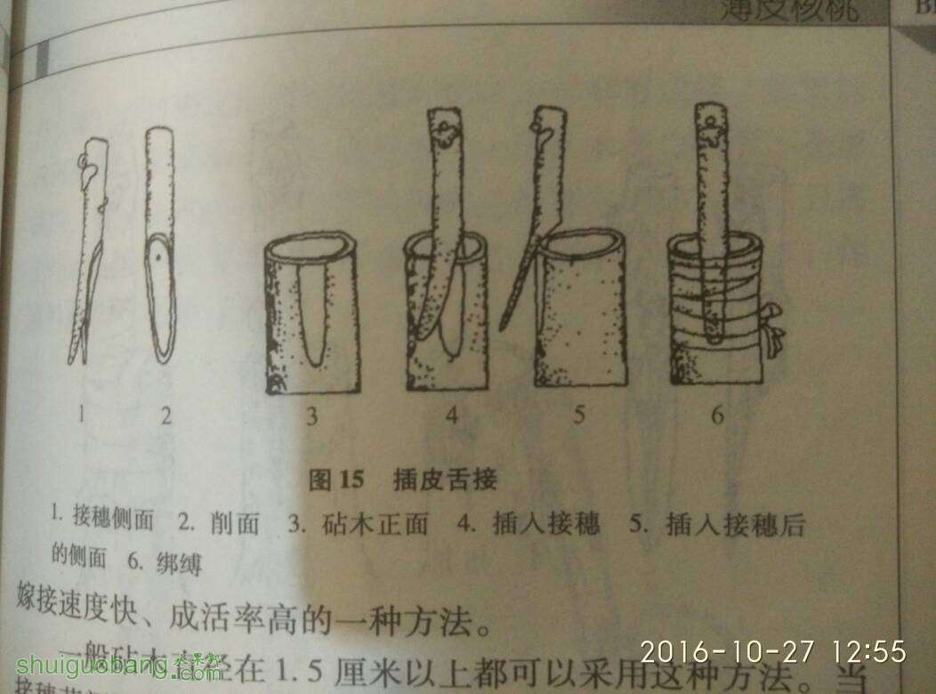 135033n84h4g4eqgzjie41.jpg