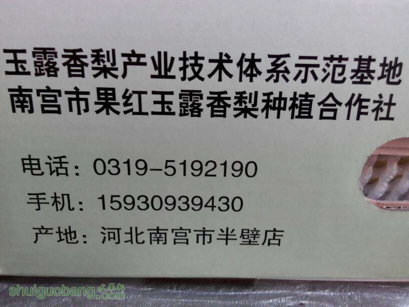 210607tk97j1yue1z1k6ey.jpg