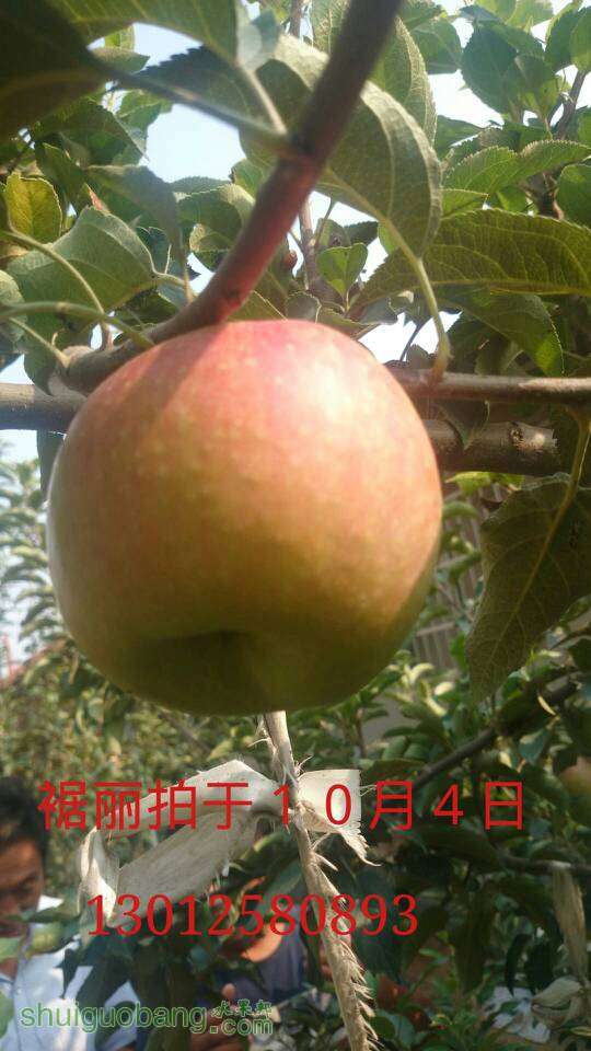 074532c11fuk1zis44q1zi.jpg