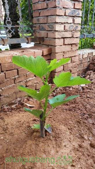 20150502_155617.jpg