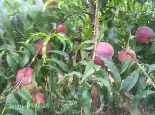 IMG_20160714_171530.jpg