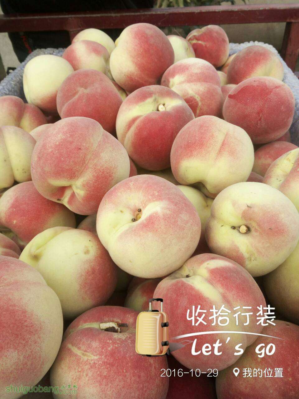 125440vukicdhknivi22ci.jpg