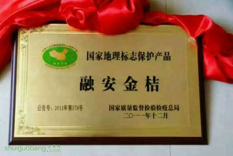 142928ln1qtzarw511vzbr.jpg
