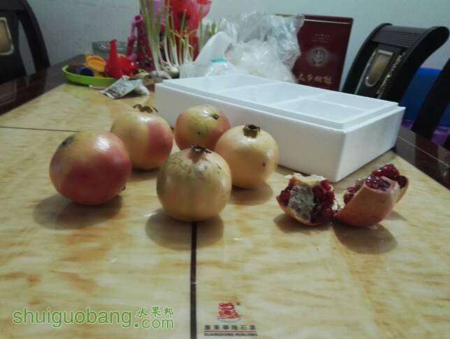 143102crcgtu34z34f0ntt.jpg