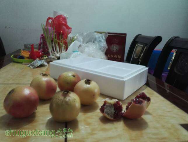 143103zipi8q6r3ot83hxx.jpg