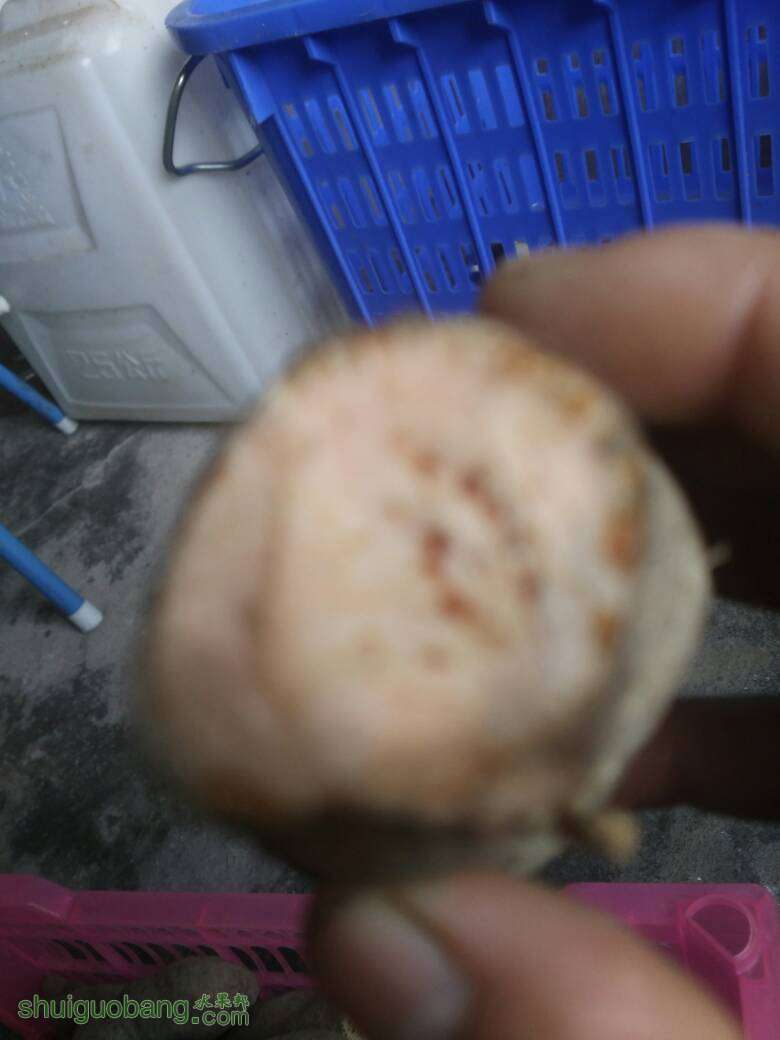 163411ke796adarineirn9.jpg