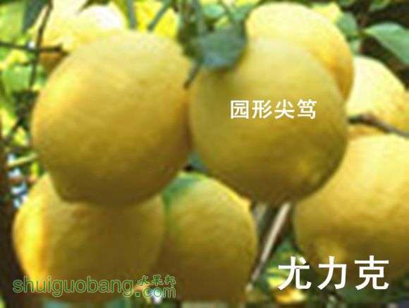 u=3174931329,4153362994&amp;fm=58___.jpg