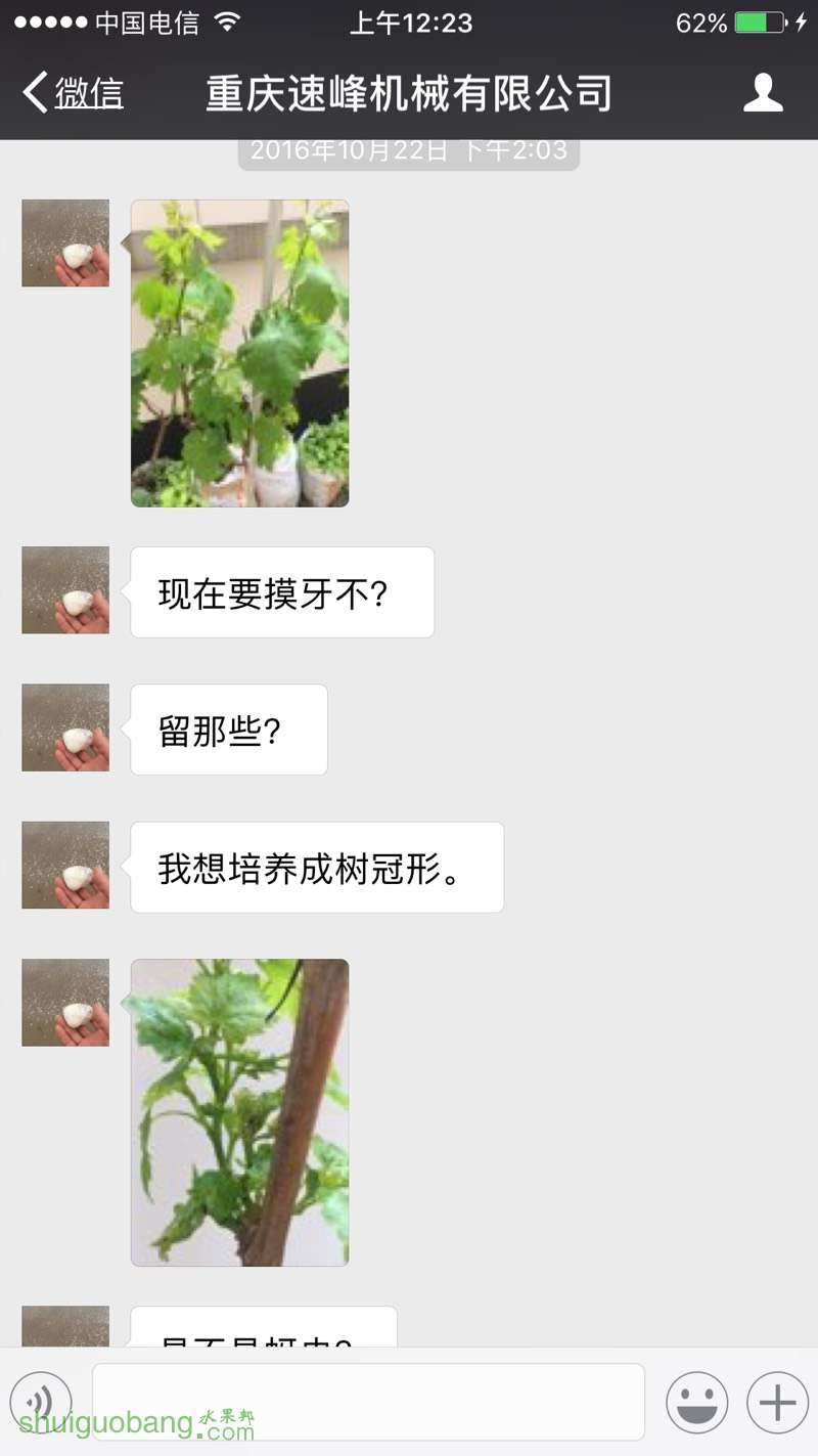 002756uxuip4x10i0v1j3o.jpg