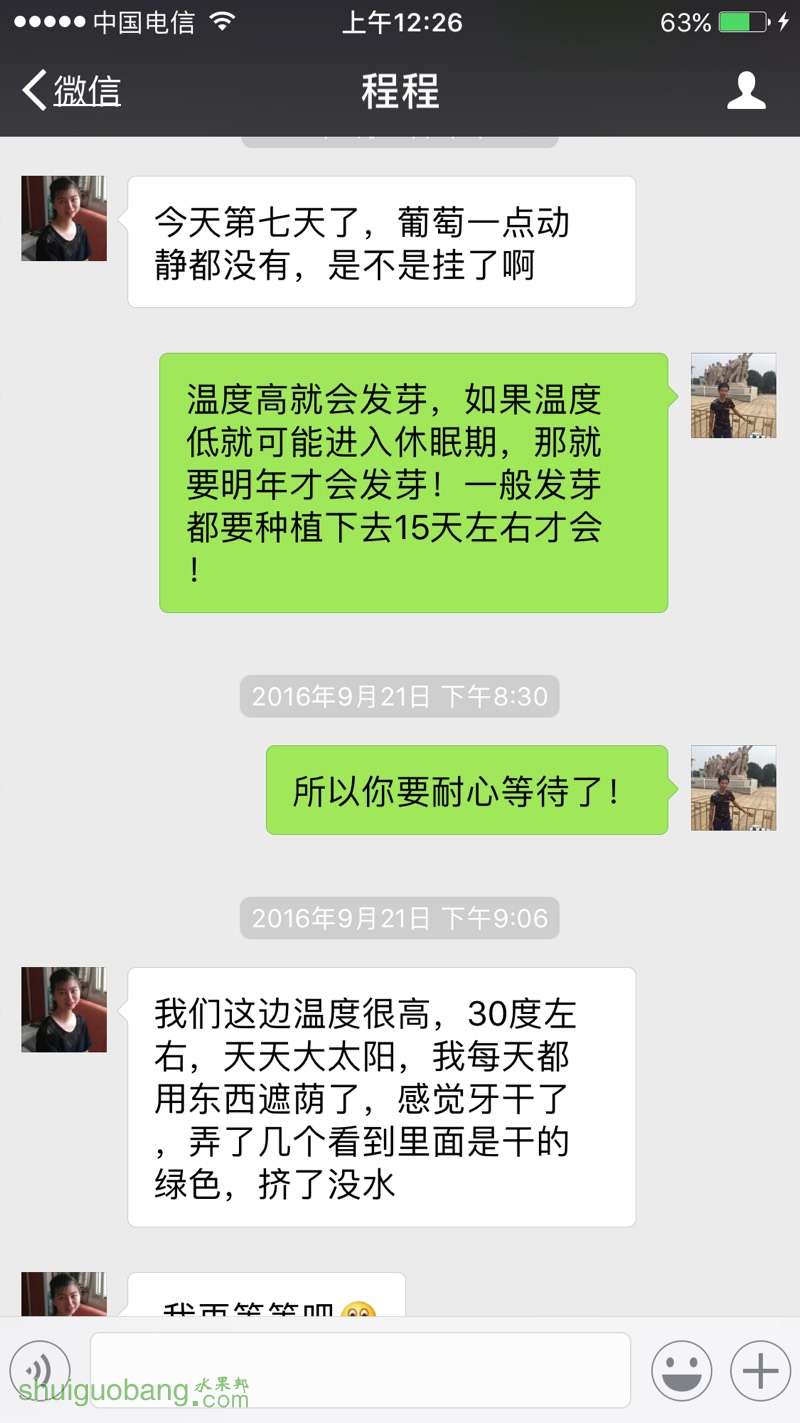 002757quuysl1ss11cuj3u.jpg