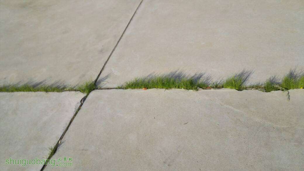 094052dyrfqayvnybyhzcl.jpg