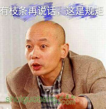 173658dyzyc2q33m2sy26s.jpg