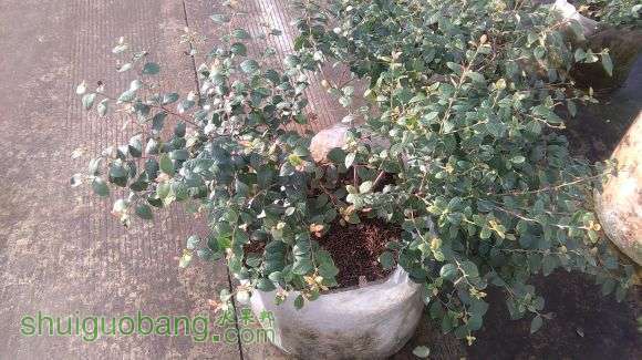 2014�����ĵ�����Ҳ��֪��Ʒ�ֵ�2�����Լ�����2��