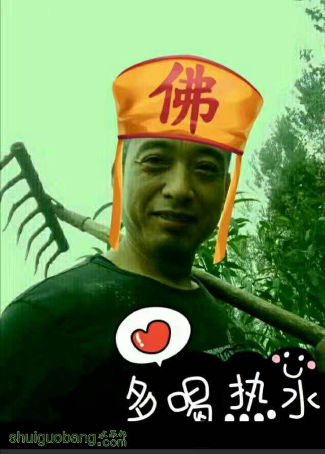 132837gbxisd353zgd8yxz.jpg