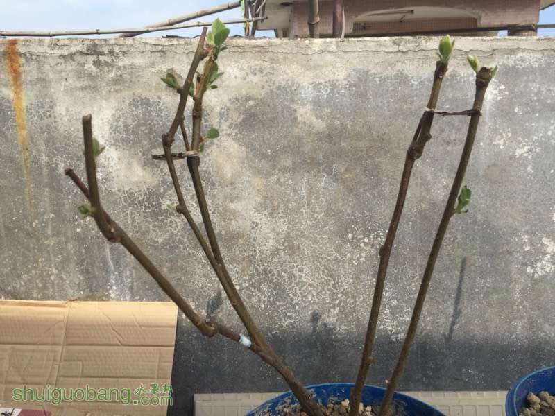 133941rp6pqfc1p1pf1rpc.jpg