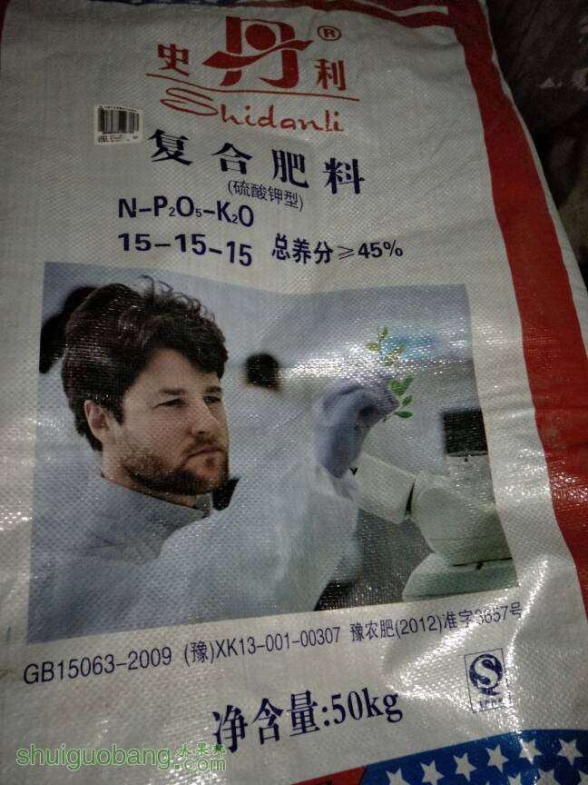 202441gxlalns9lxnyp3pj.jpg