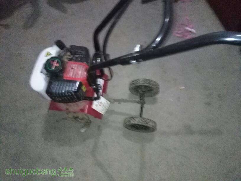 212453bf2ytktfyw6jar93.jpg