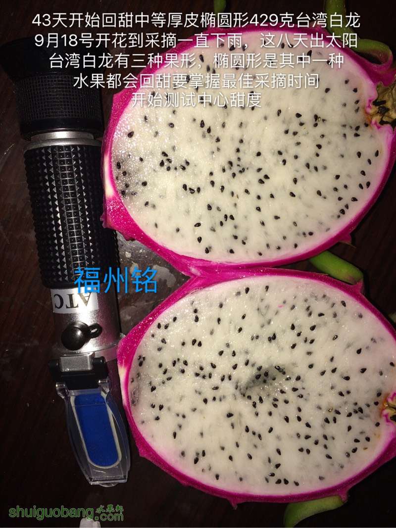 235419c28ck5hjq3zzmm2m.jpg