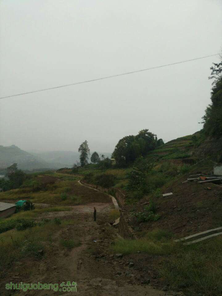 085613yge9wtmkcegxxk77.jpg