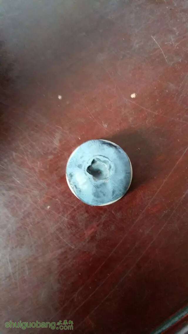 种蓝莓养的就是根?