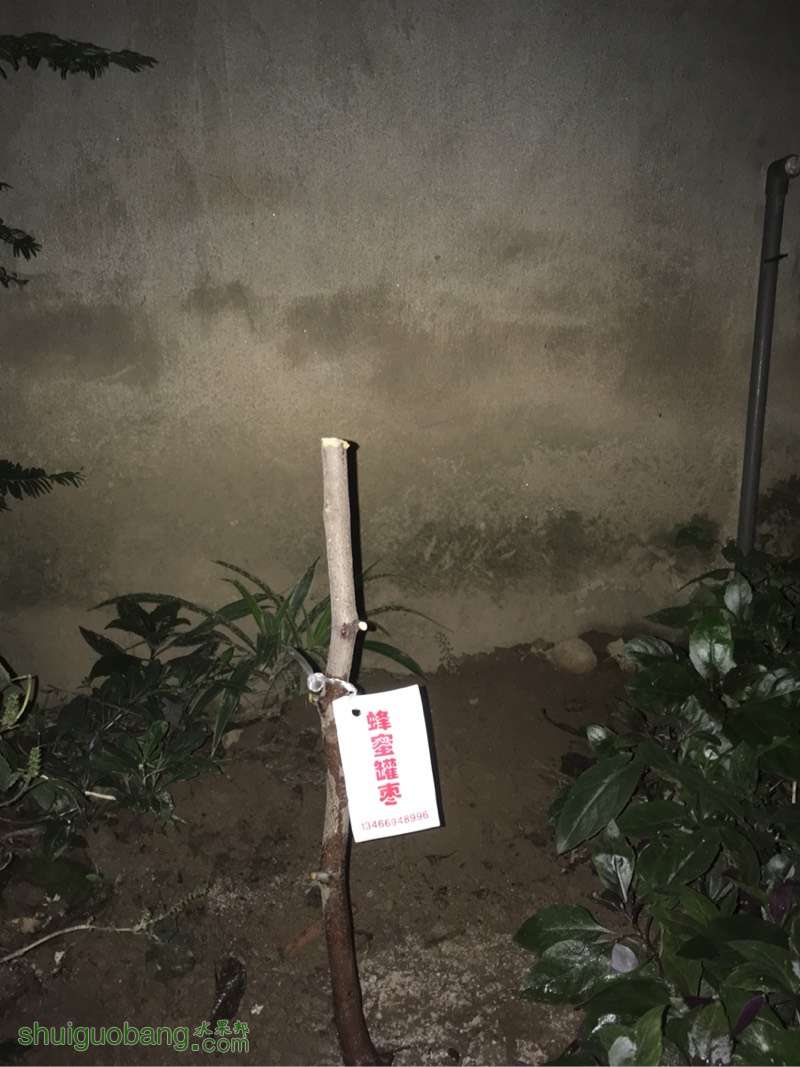 204302oiqwa1z14qfeyalw.jpg