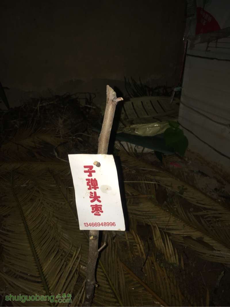 150508fm7iupm2itex0rmz.jpg