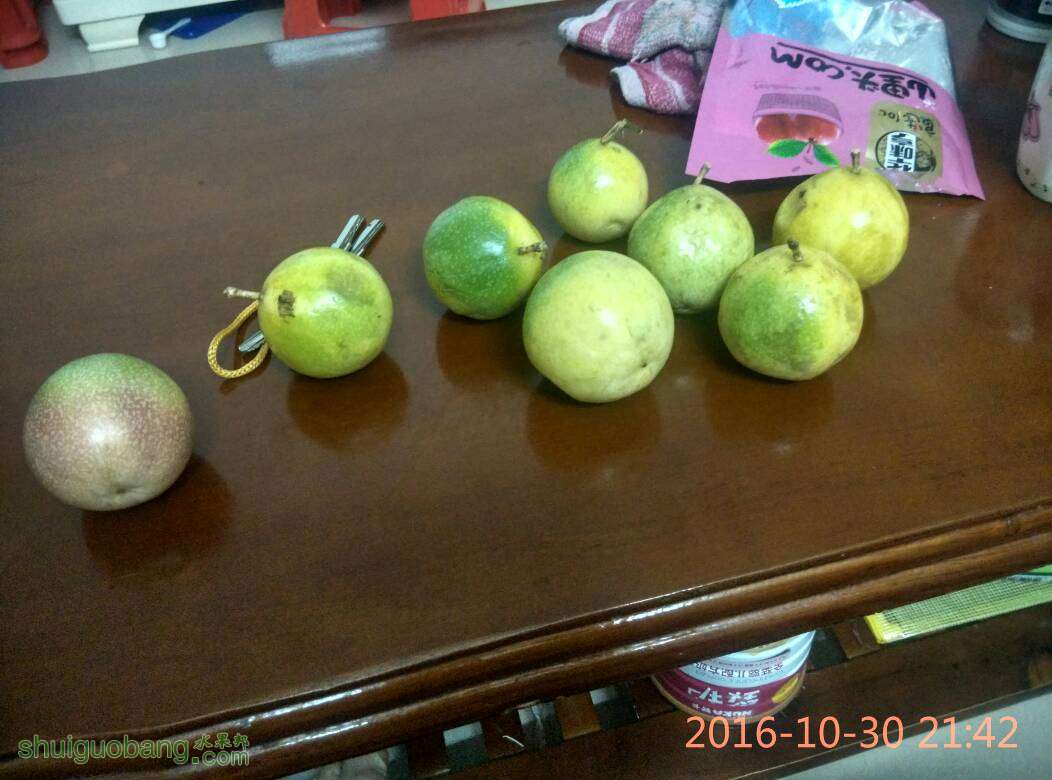 232821h8807uam42lnl7nl.jpg