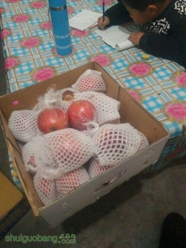 202002fozpdskszhphn0n9.jpg
