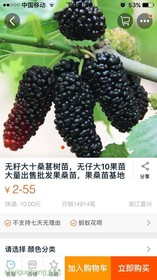 203845qo4ollzp0mzmp2p0.jpg