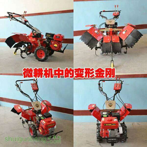 100755v8rflrof7ssw8sla.jpg