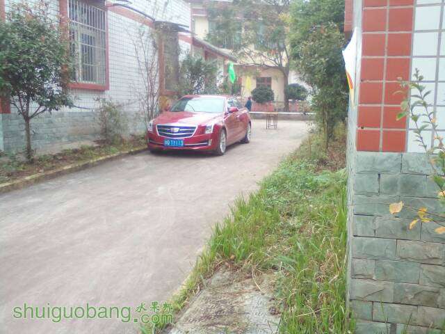 102919lxak00900uxuwa09.jpg