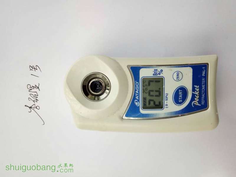 154025d20797vfl27ml2vv.jpg