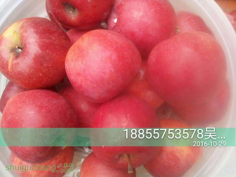 235300q2ir6iernw08iiwi.jpg