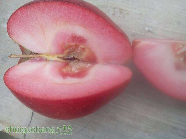 235300ql8hummo8lg6m1pm.jpg