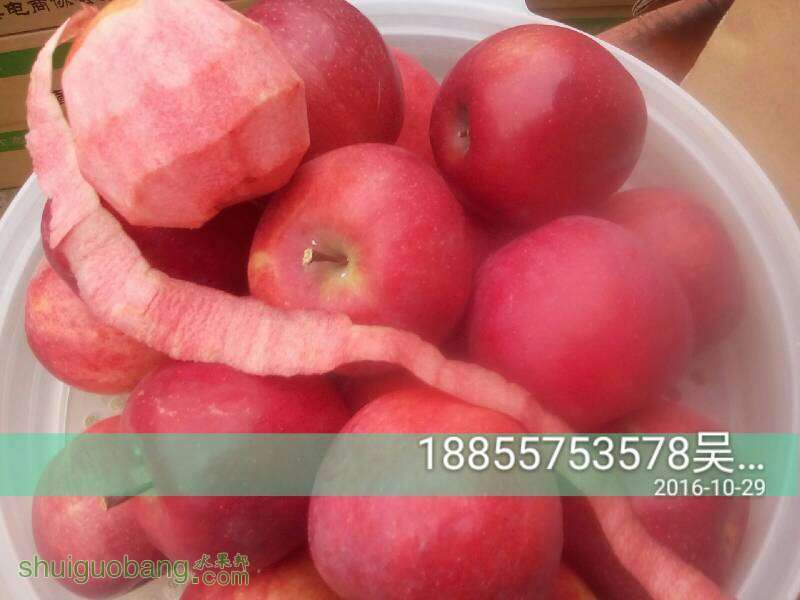 235300wzuaevhaadafbzfk.jpg