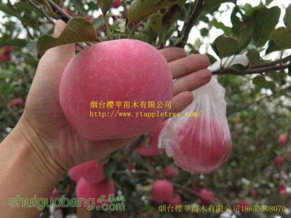 conew_conew_img_1369.jpg