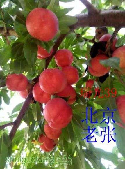 1ff17a3a23b5909e.jpg
