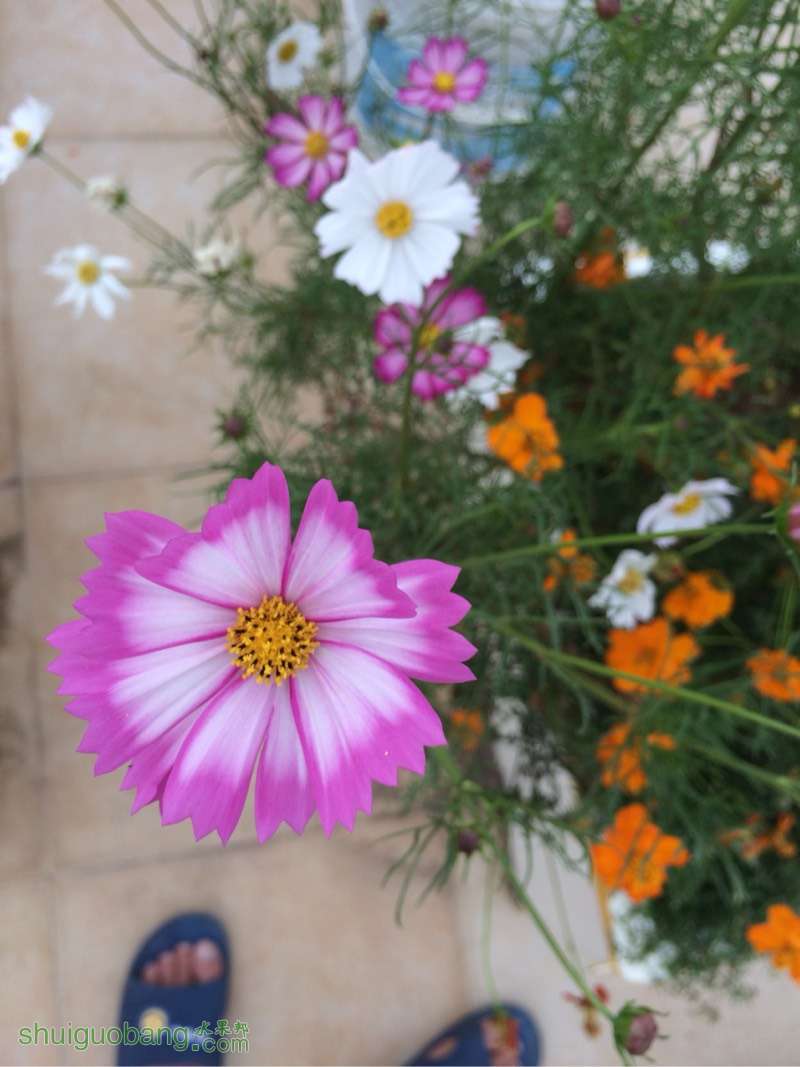 164109p82ishqvhtit8l6i.jpg