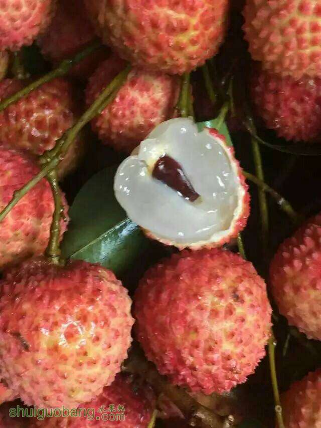 232438qz5414oorsduzz4u.jpeg
