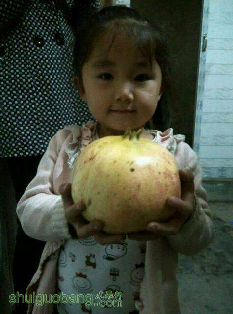 003621wwcpywwf5fv2v28m.jpg