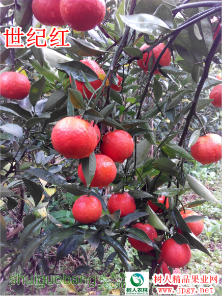 QQͼ20151105163923.png
