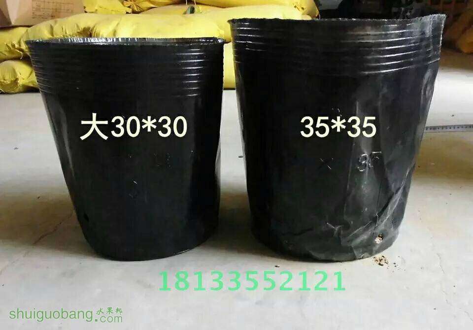 065700zxn8bpynf6o06nxn.jpg