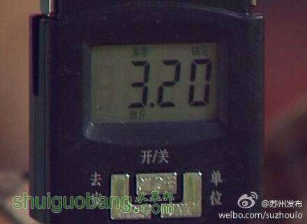 230113rpxs6ef3k33fxng9.jpg