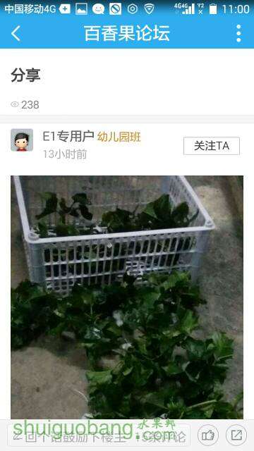 152109arr2fzk56zwzmfag.jpeg
