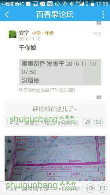 152109fk14tf1v4lc8sh4k.jpeg